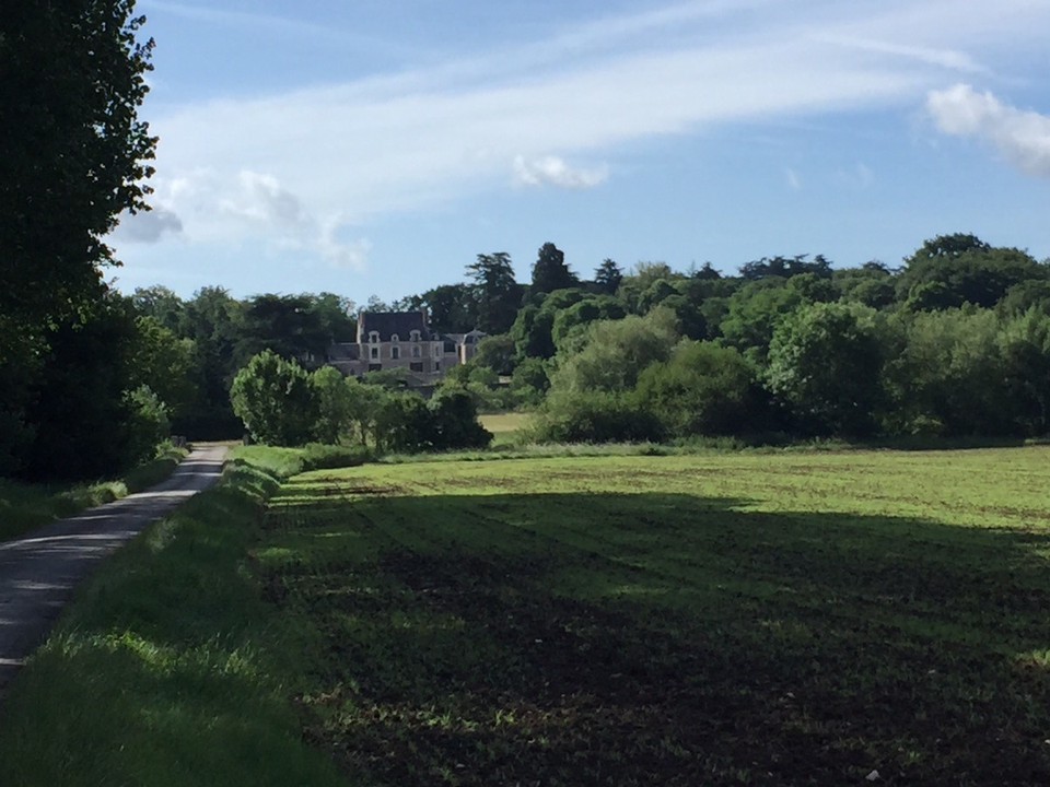 Frankreich - Candé-sur-Beuvron - 