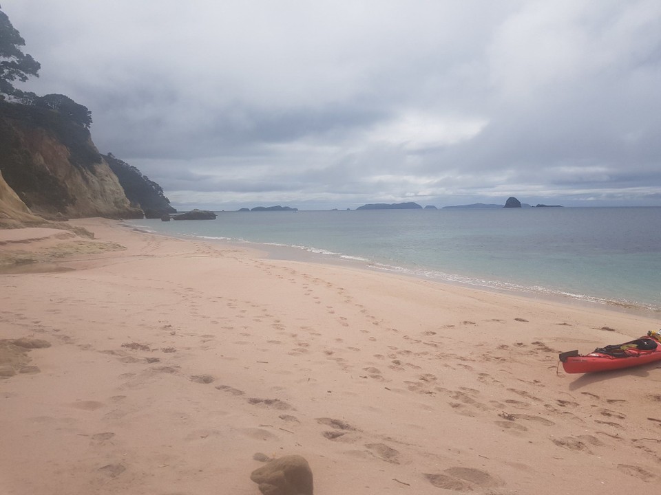 Neuseeland - Whitianga - Pink Beach