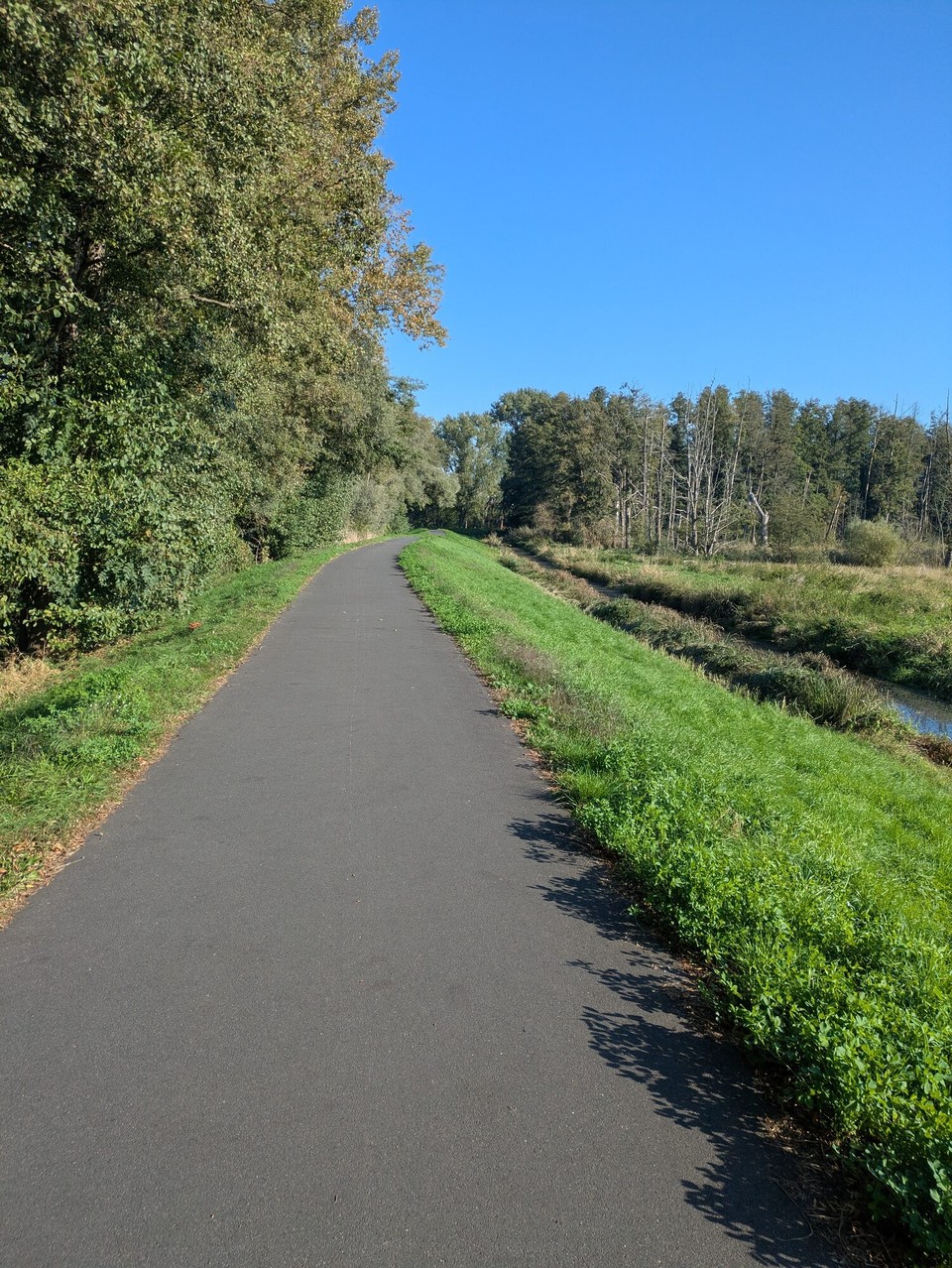 Deutschland - Berlin - Gestern haben wir uns beschwert, dass zu wenig Wasser war. Heute machte es die zerfieselte Havel wieder wett.