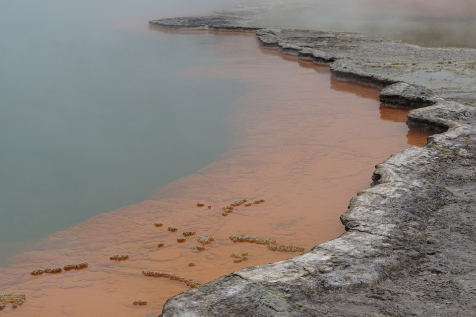 Neuseeland - Rotorua - 