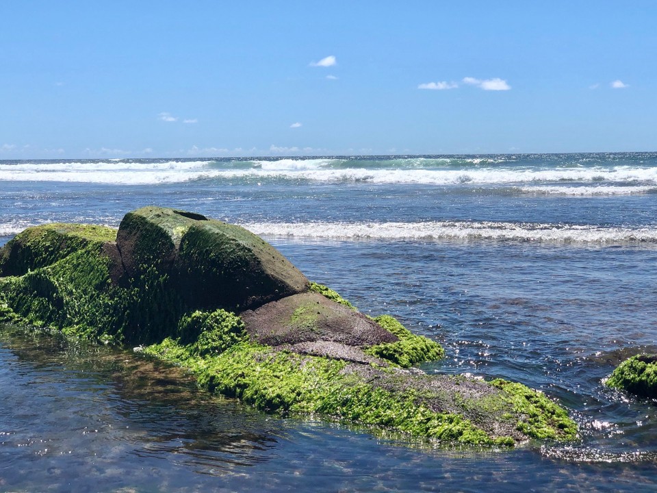 Brasilien - Lauro de Freitas - Ebbe Flamengostrand