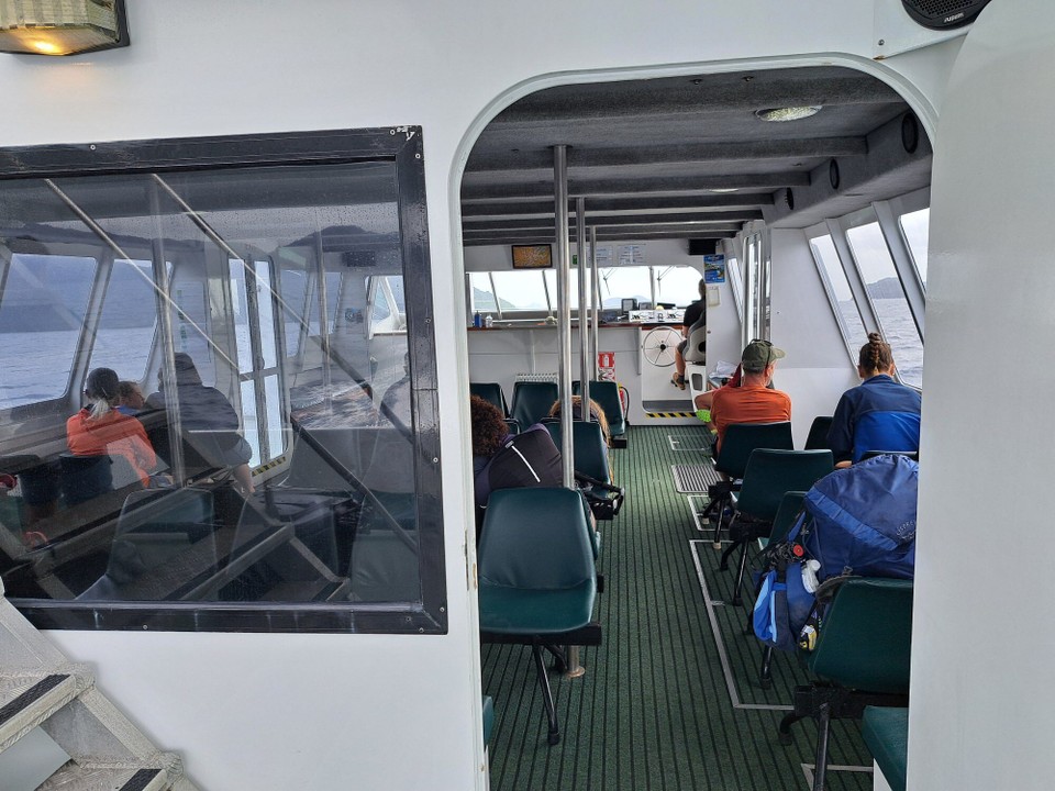 Neuseeland - Punga Cove - 