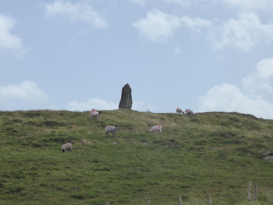 Ireland - Bere Island - The standing stone or Gallan is said to mark the centre of the island, known locally as Ard na Gaoithe (windy height) - a very apt name! It is 3m tall and legend has it that a giant threw a stone at the Cailleach Beara (The Old Hag of Beara), but it missed and landed on the island.