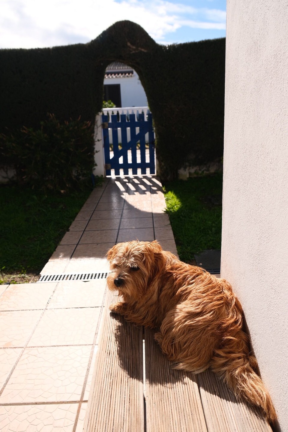 Portugal - Aljezur - 