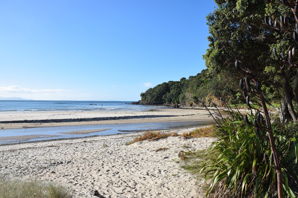 Neuseeland - Whitianga - 