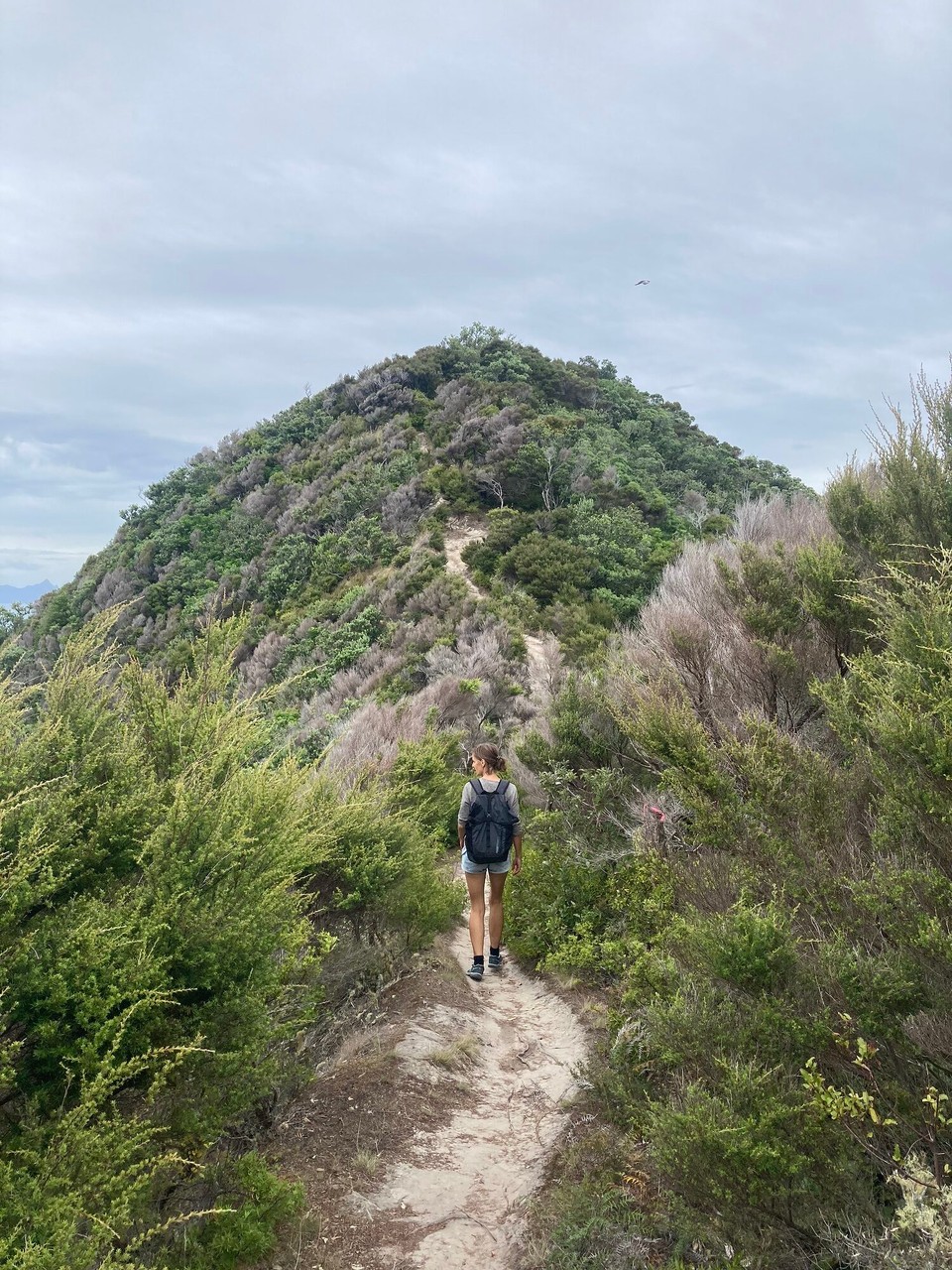 Neuseeland - Whangarei Heads - Busby Head