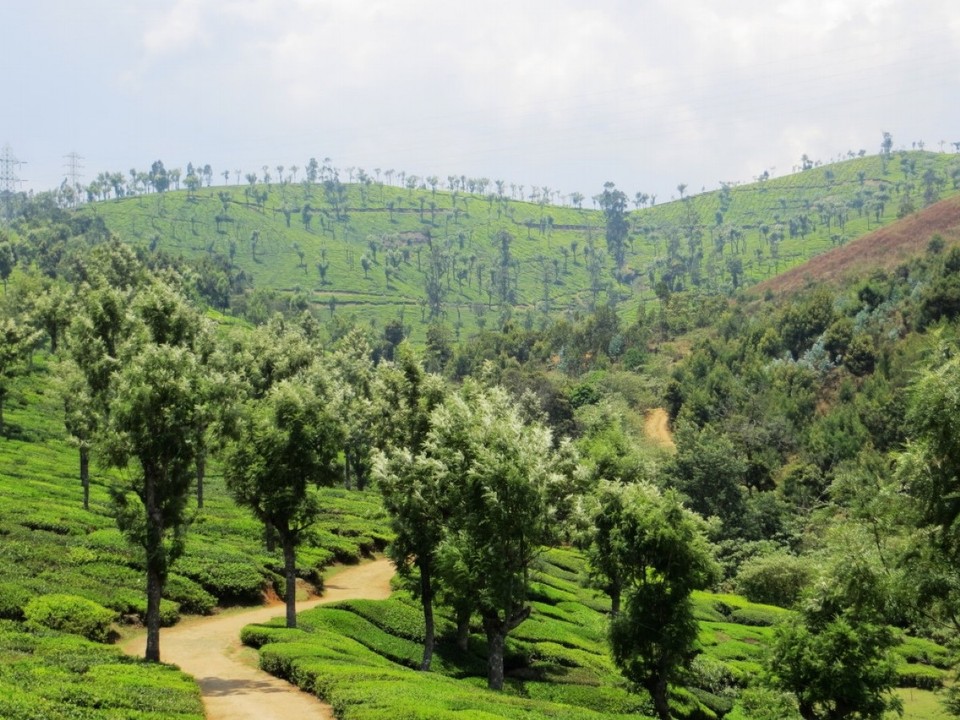 Indien - Sholur - 