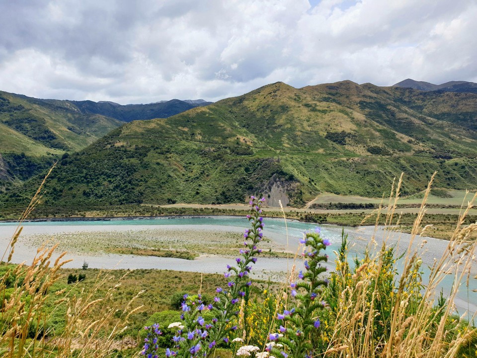 Neuseeland - Nelson - 