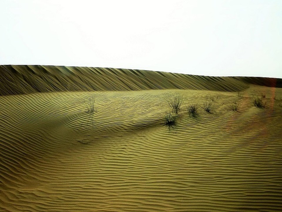 Vereinigte Arabische Emirate -  - 