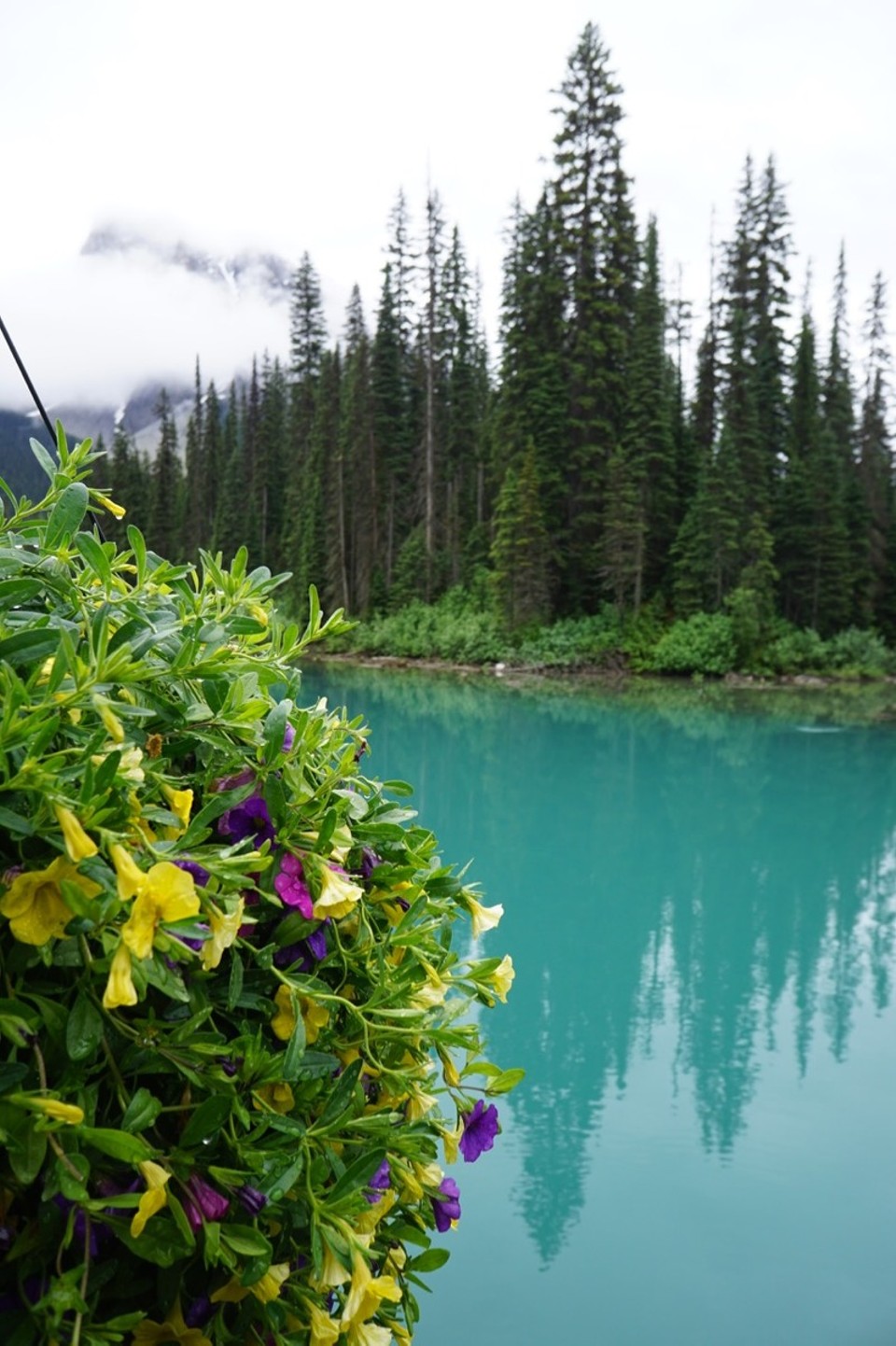 Kanada - Valemount - 