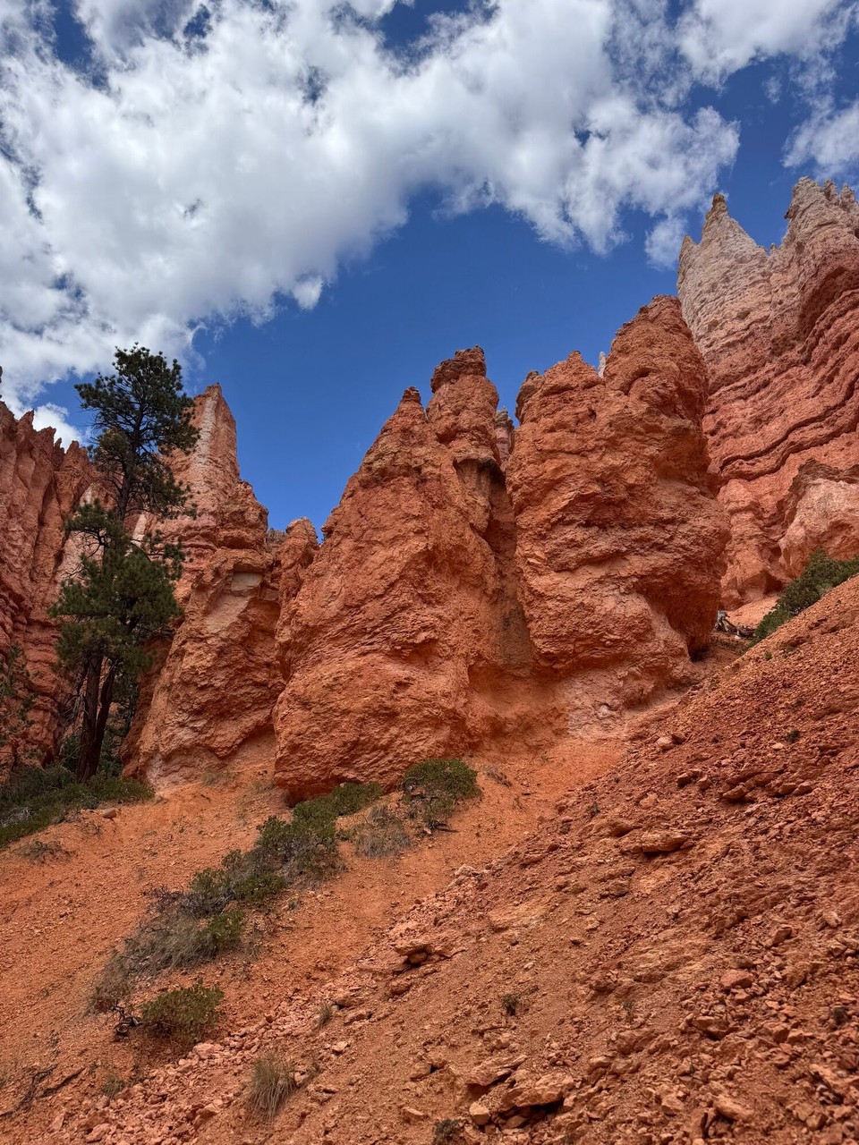 Vereinigte Staaten - Bryce Canyon - 