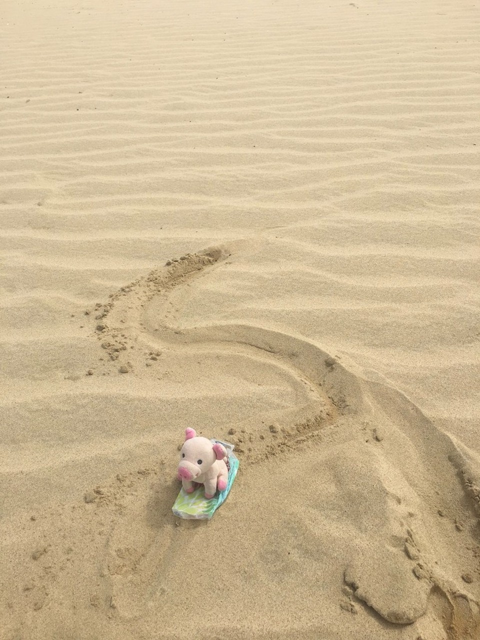 Neuseeland - Cape Reinga - Bitte knipsen