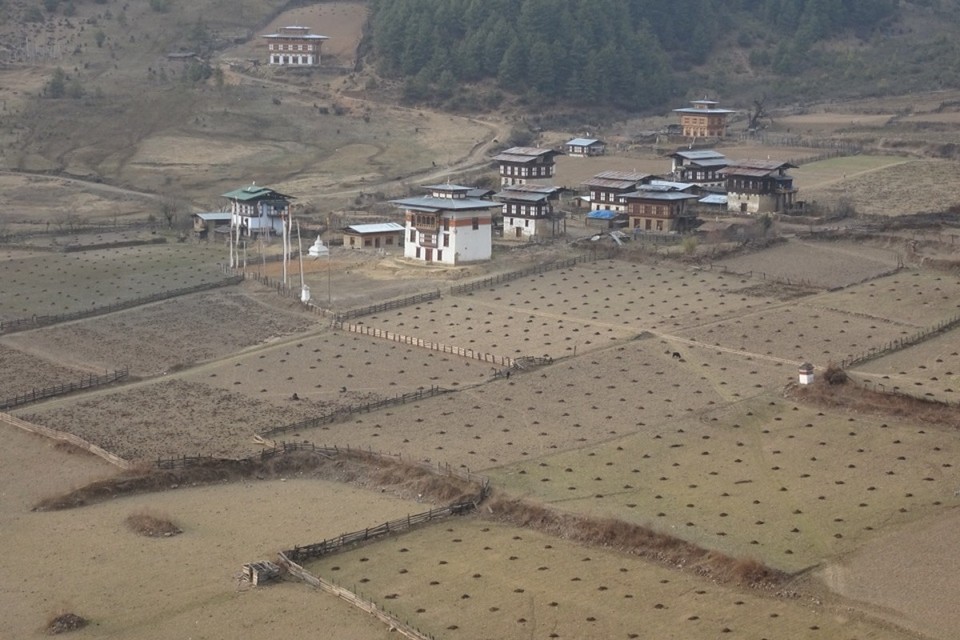 Bhutan - Gangtey (dewachen hotel) - 