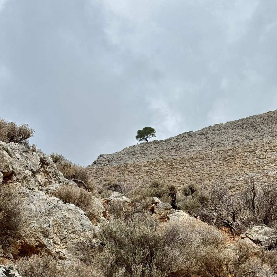 Griechenland - Chora Sfakion - 