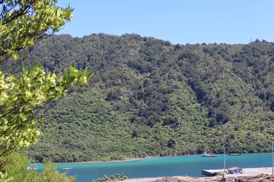 Neuseeland - Picton - 