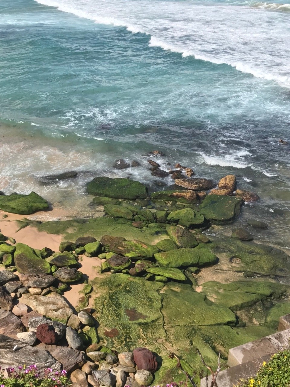 Australien - Bronte - 