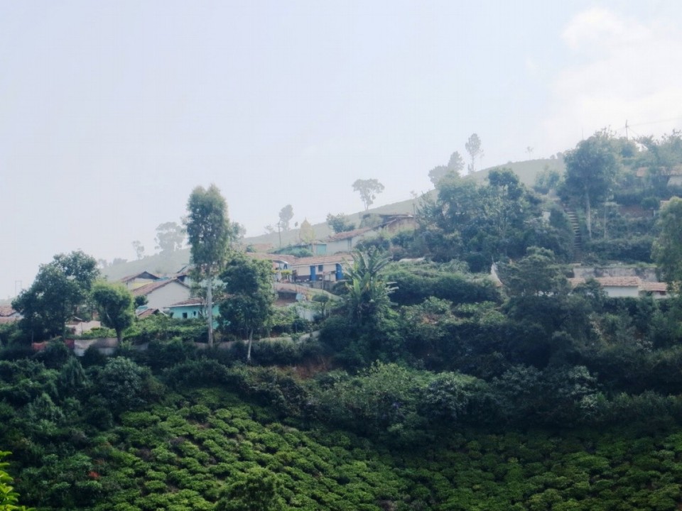 Indien - Coonoor - 