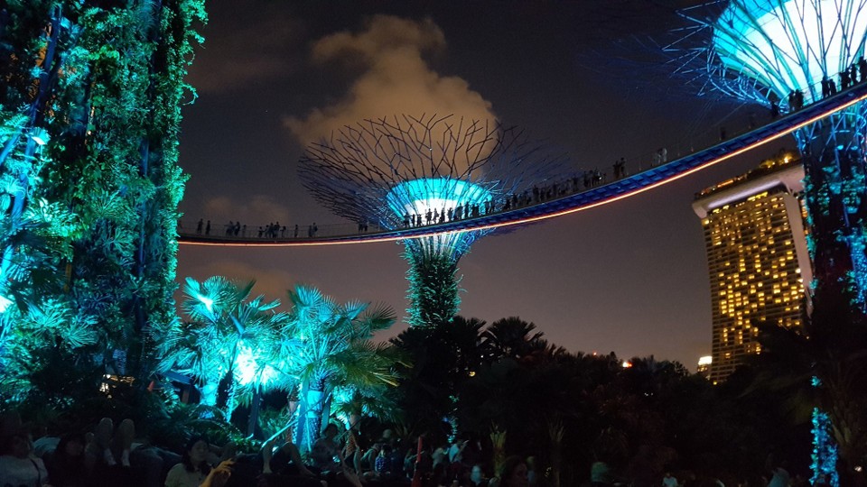 Singapur - Singapore - Garden by the Bay