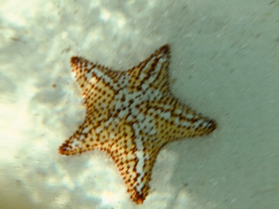 Panama -  - 