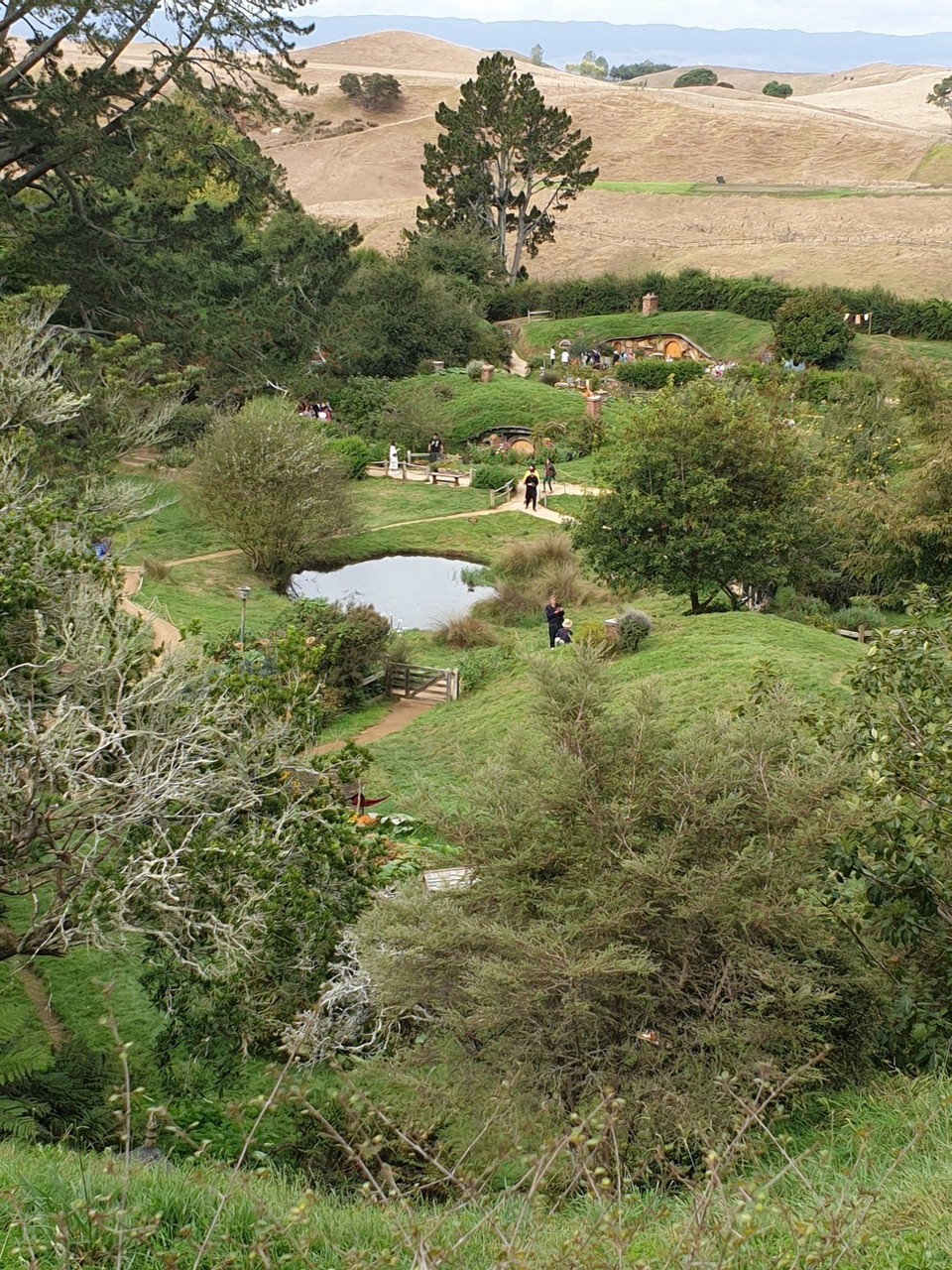 Neuseeland - Matamata - 