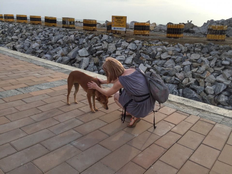 Sri Lanka - Colombo - Die kann es nicht lassen 