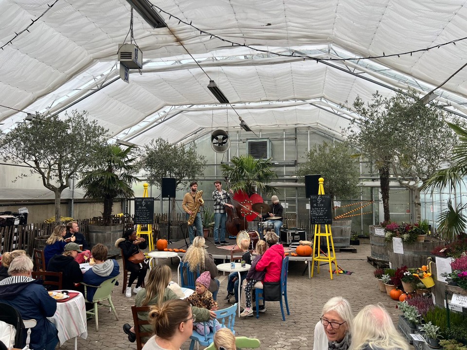 Schweden - Slottsträdgården - 