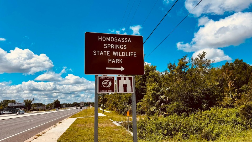 Vereinigte Staaten - Crystal River - 