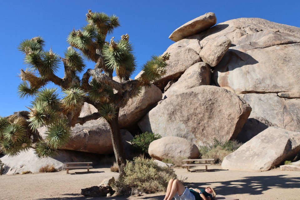 USA - Tucson - Joshua Tree NP