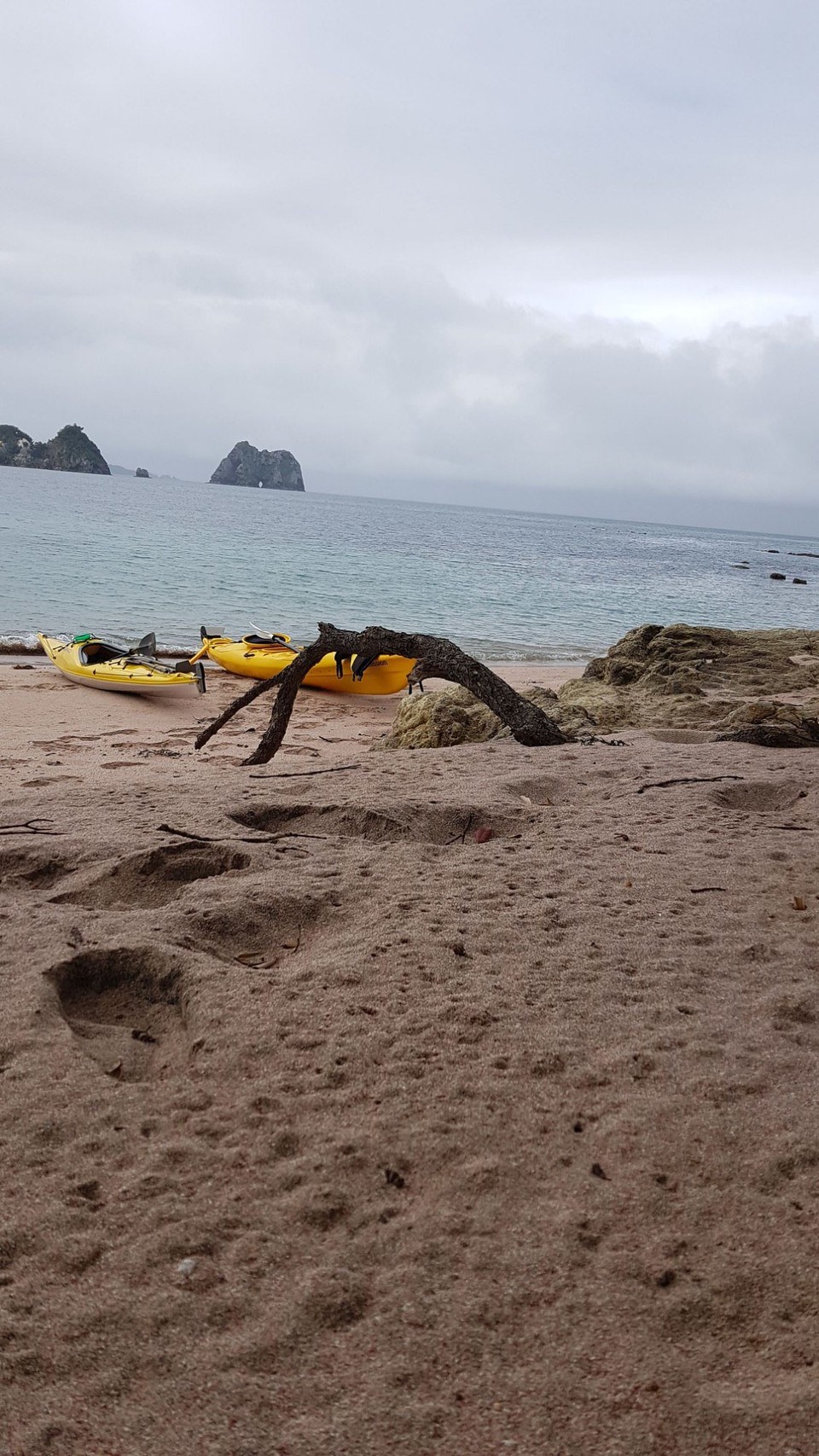 Neuseeland - Whitianga - 