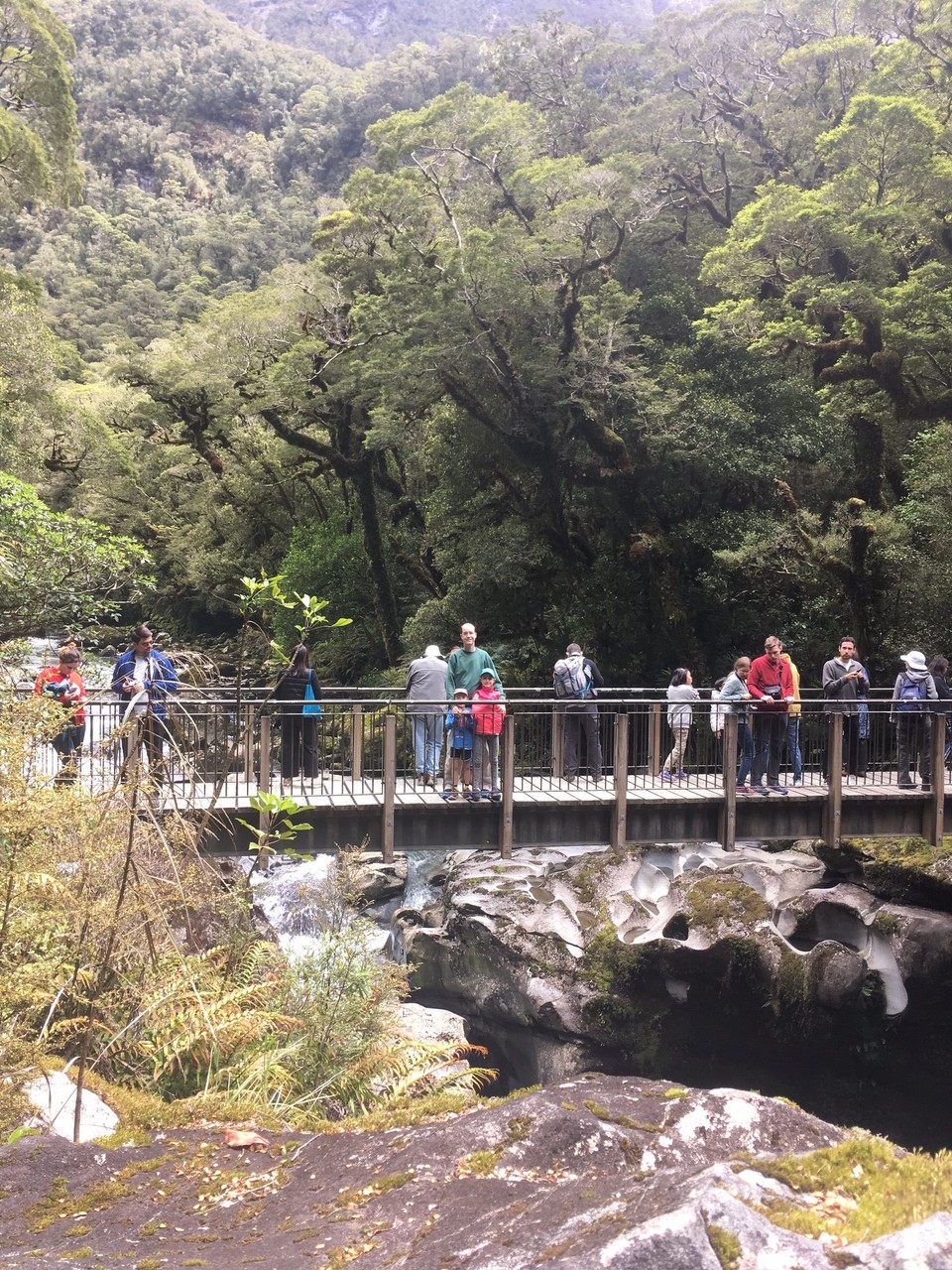 Neuseeland - Te Anau - 