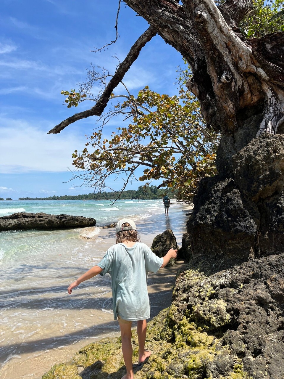 Panama - Bastimentos Island - Red frog beach.