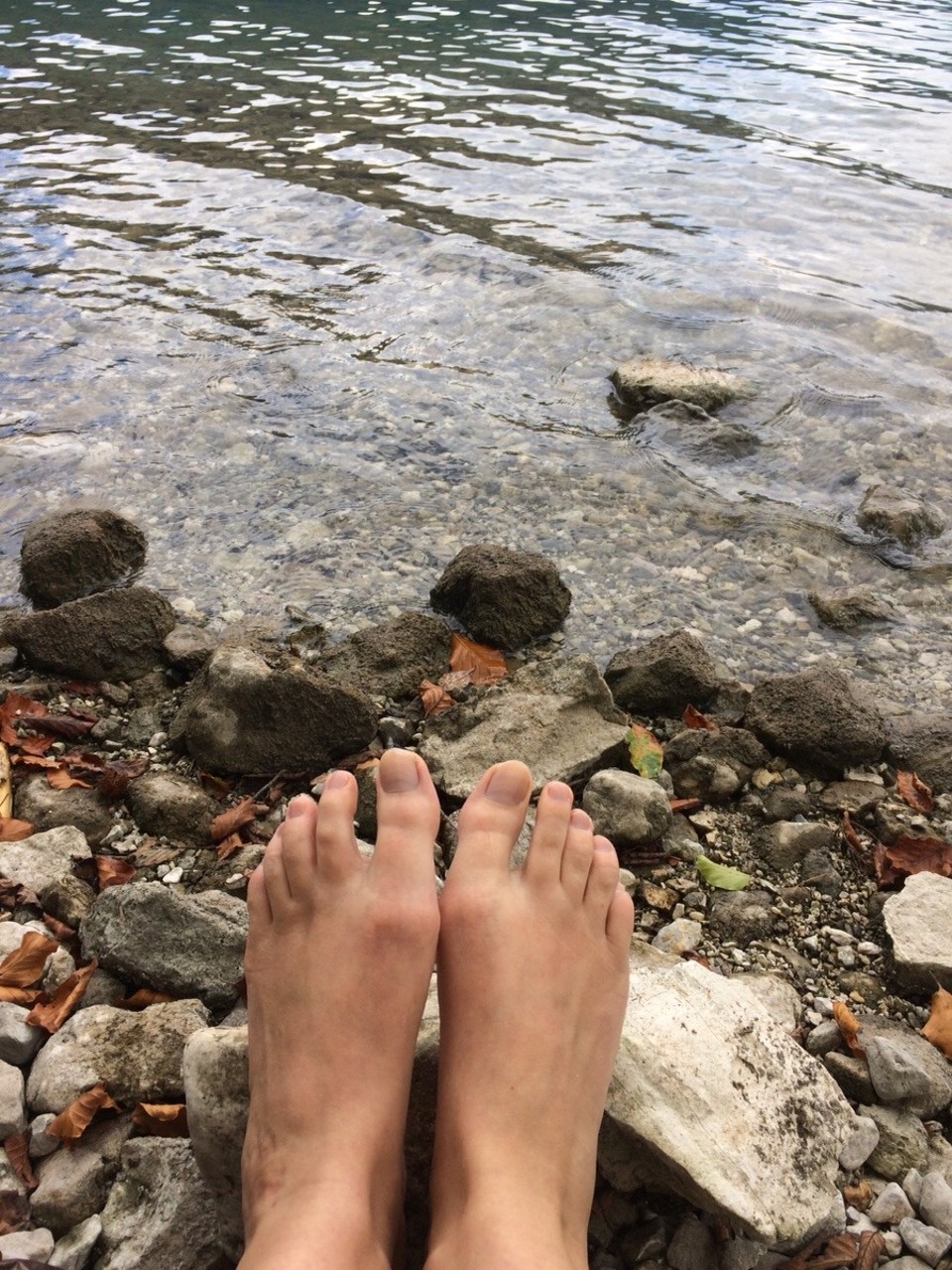 Slowenien - Bohinj - 