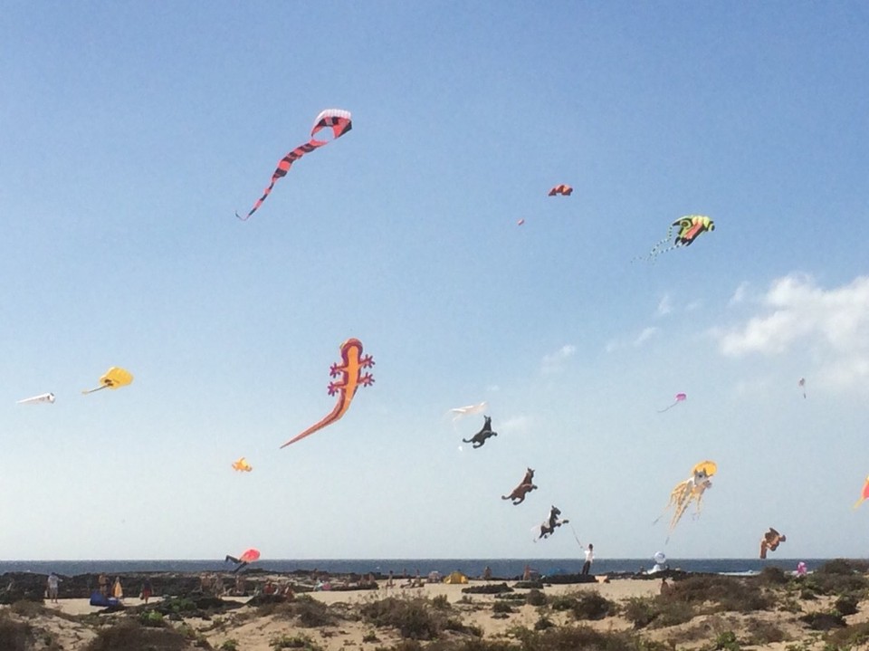 Spain - La Oliva - 