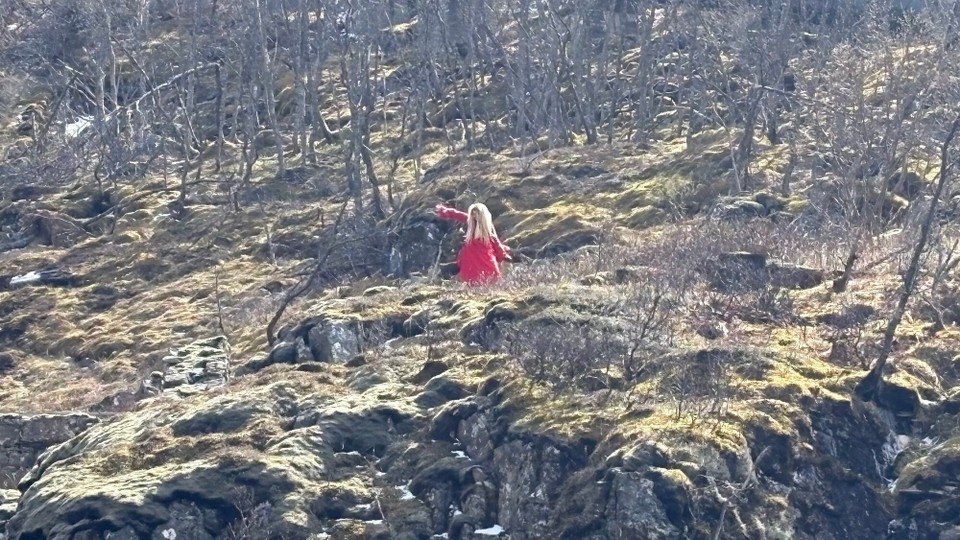 Norwegen - Vik - …wo die Feen tanzen 