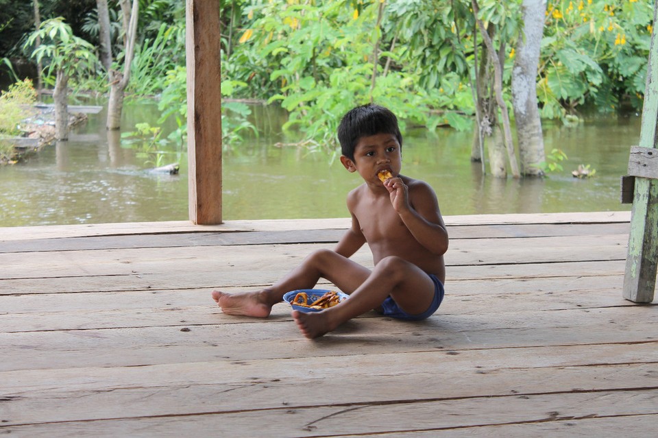 unbekannt - Rio Javari - 