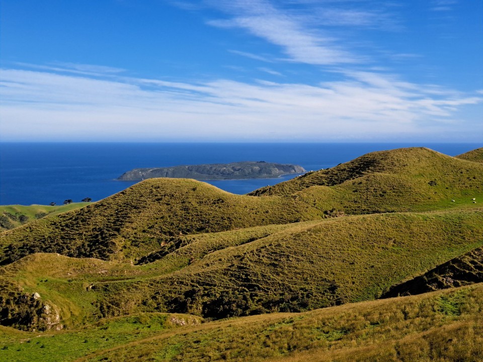 Neuseeland - Wellington - 