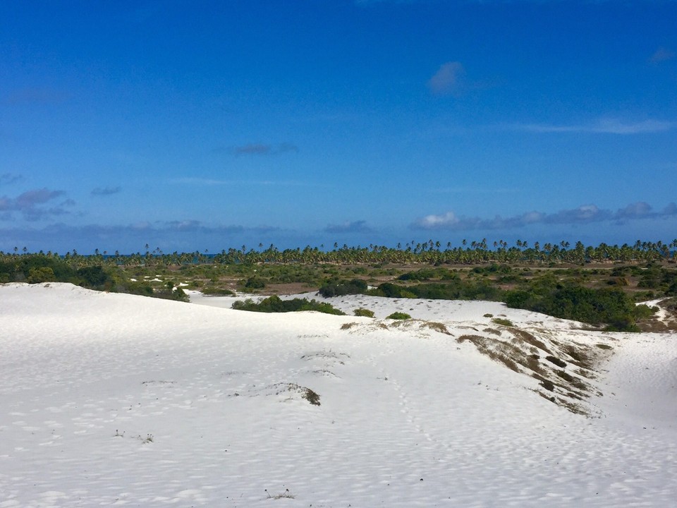 Brasilien - Conde - Weiße Dünen 