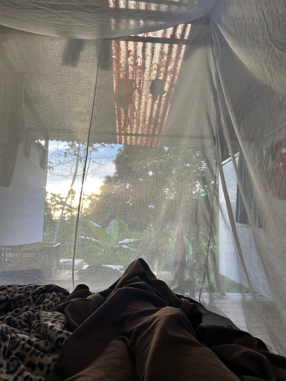 Costa Rica - Uvita - 