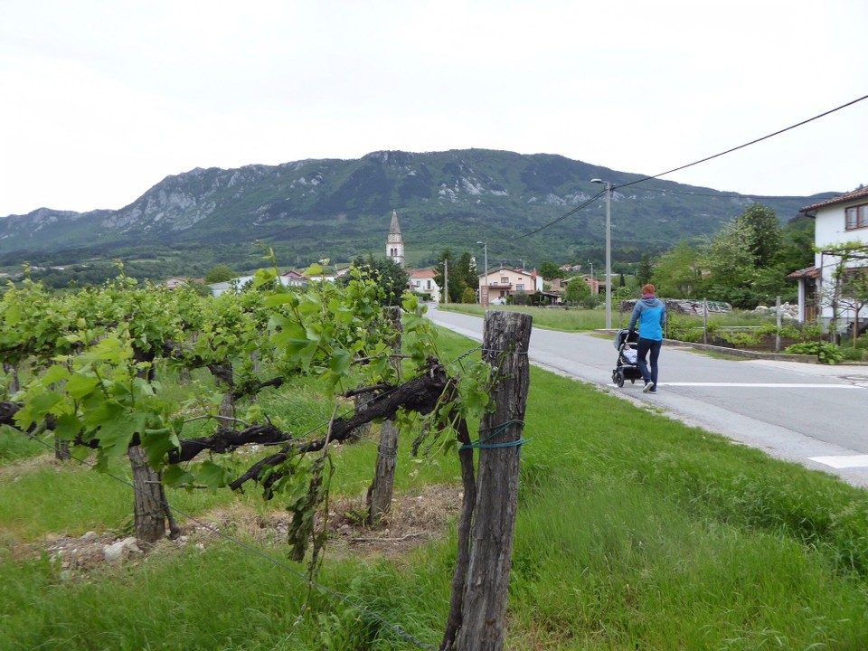 Slowenien - Vipava - Spaziergang durchs Dorf 
