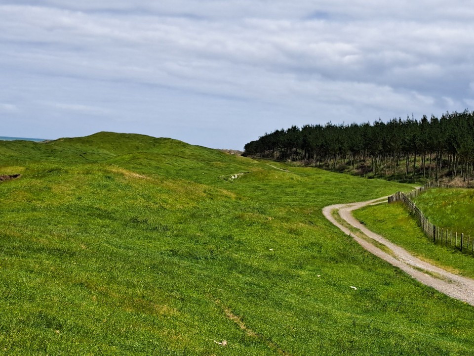 Neuseeland - Koitiata - 1400 Kilometer 