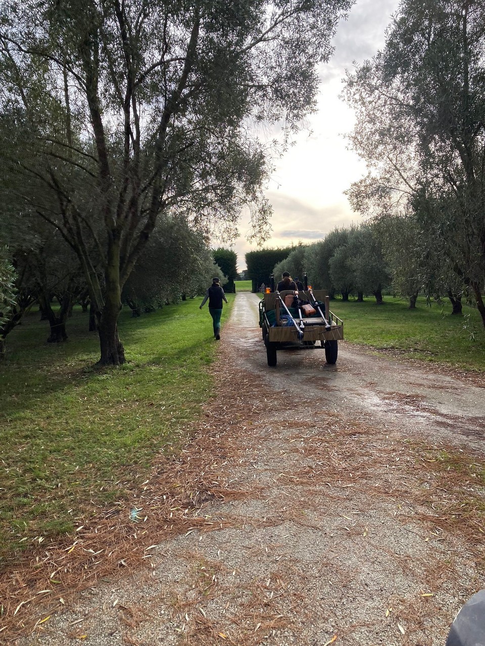 Neuseeland - Ward - Der Traktor fährt vor