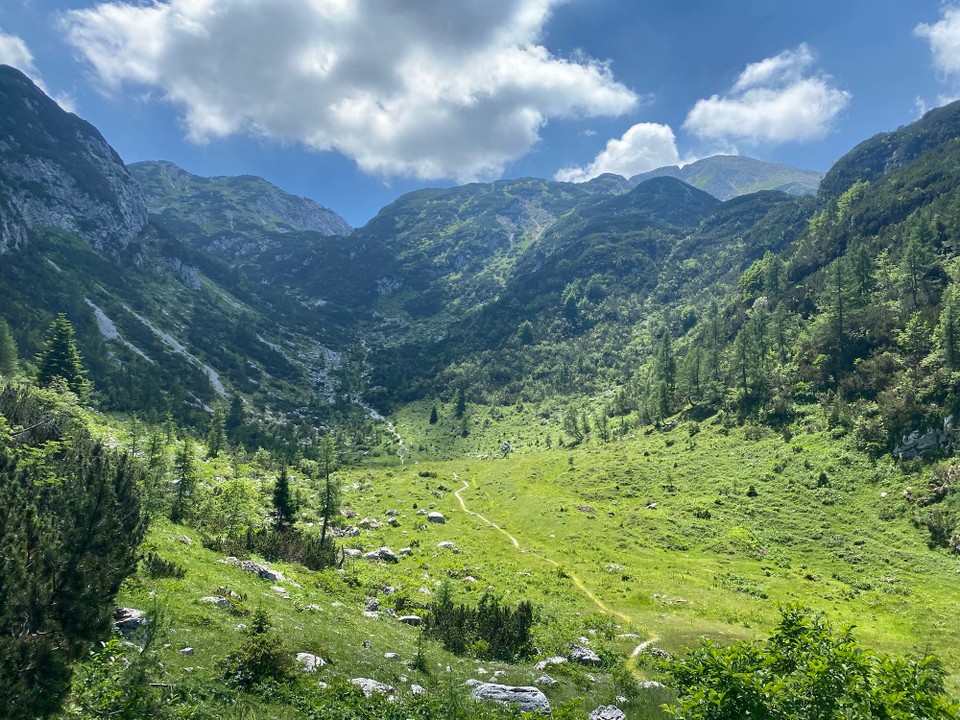 Slowenien - Bohinj - 
