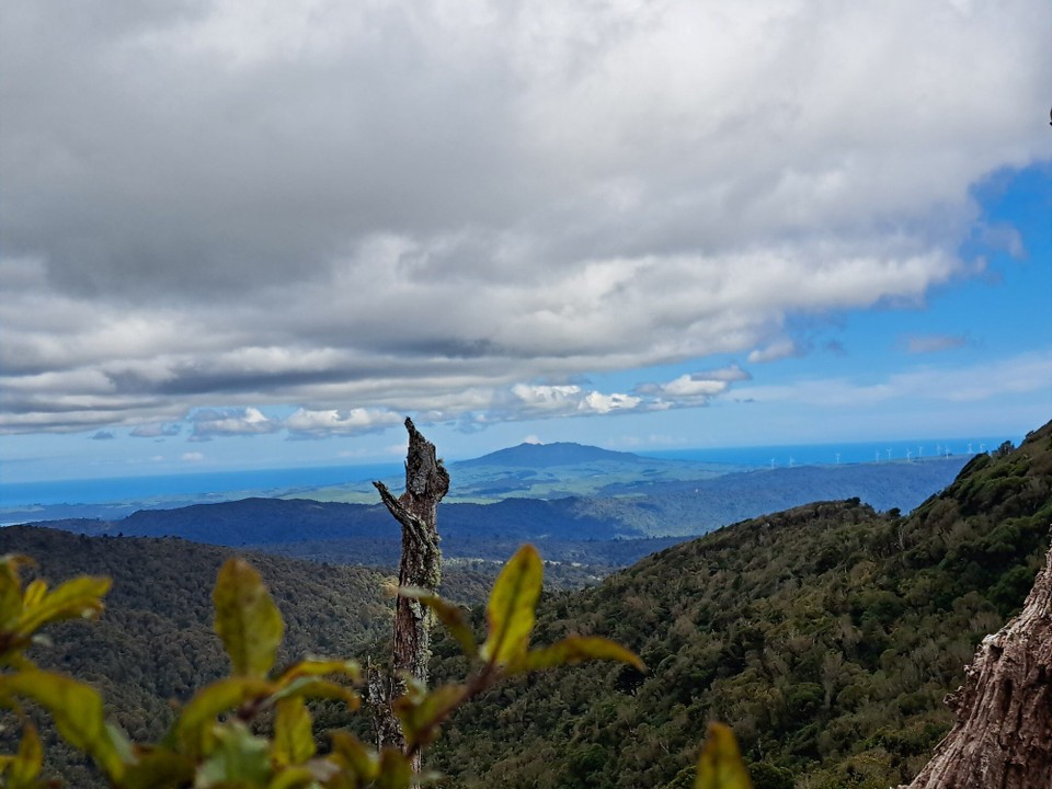 Neuseeland - Puketotara - 