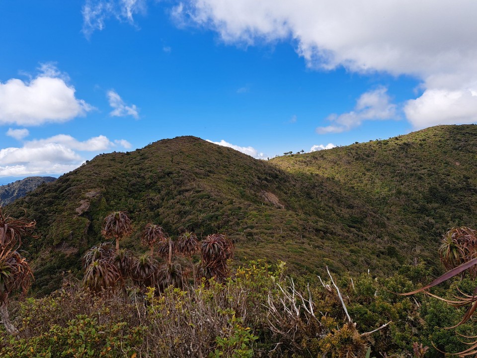 Neuseeland - Puketotara - 