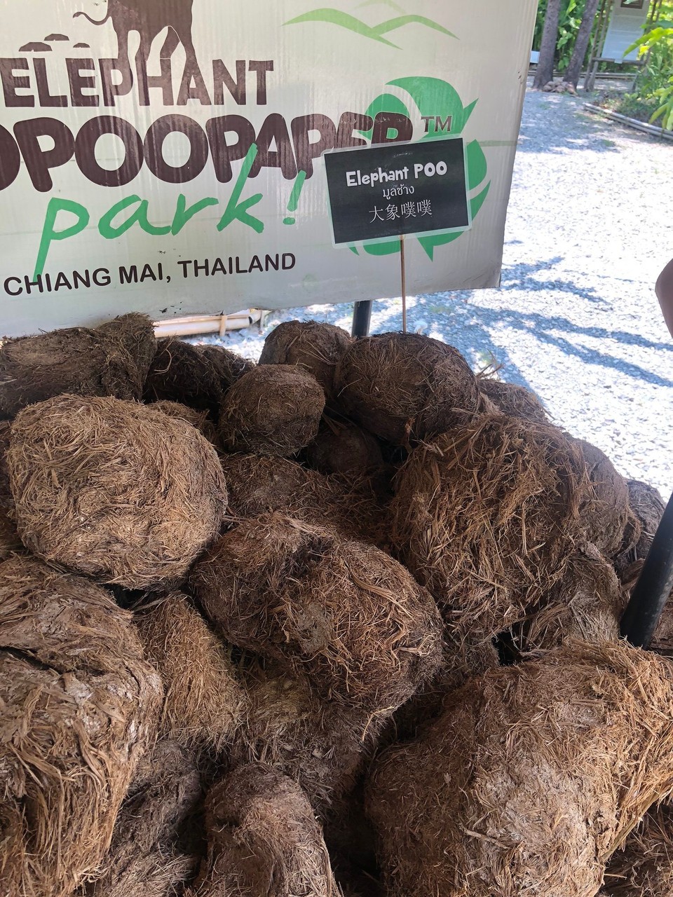 Thailand - Saraphi - Elefanten-Poopoo 🐘