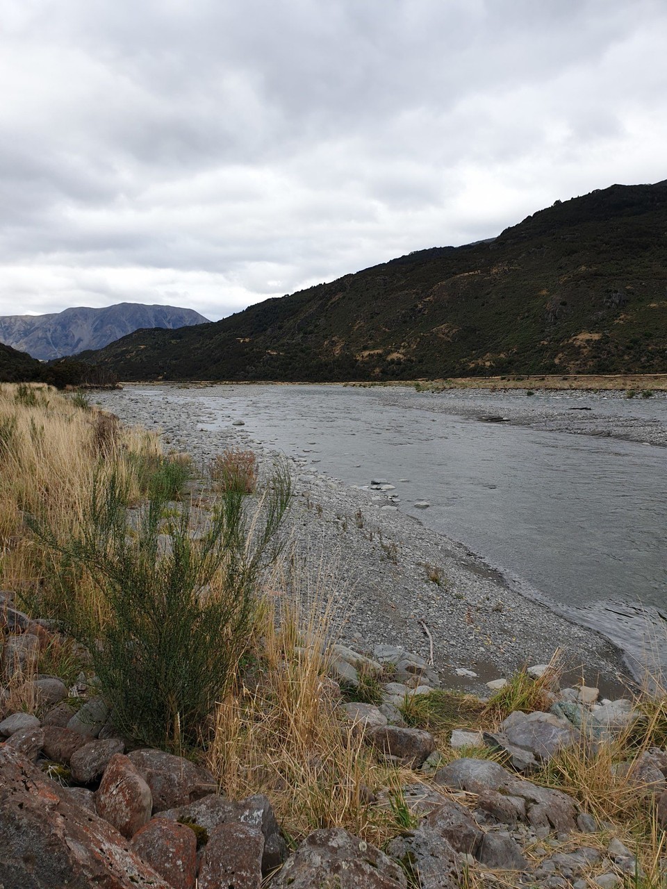 Neuseeland - Kaikoura - 