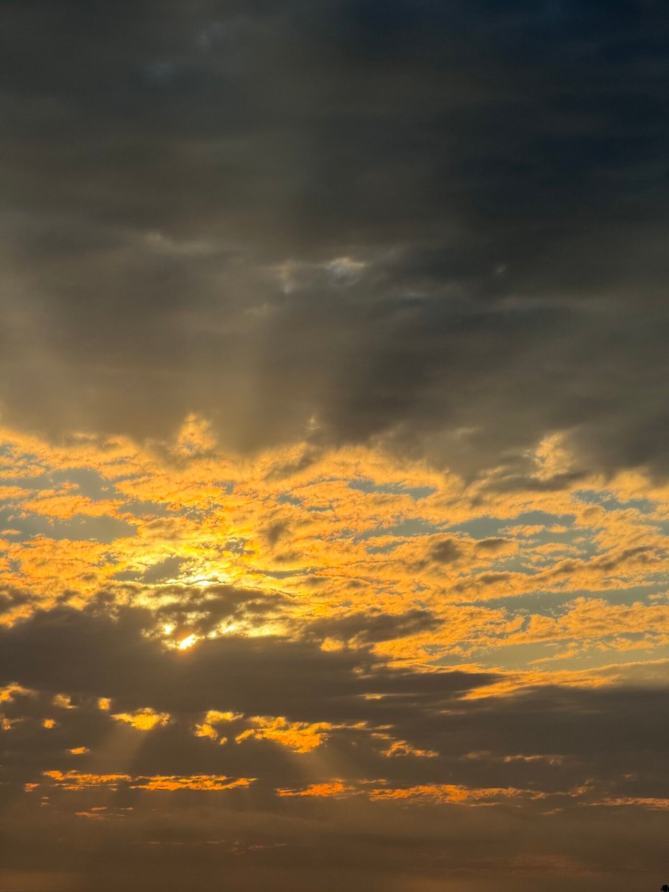 Vereinigte Staaten - Laguna Beach - Znacht hemmer denn mal wieder im Hotel sälber koched. Pünktlich uf de Sunneuntergang simmer denn nomol ah Strand gange.🌅☺️
