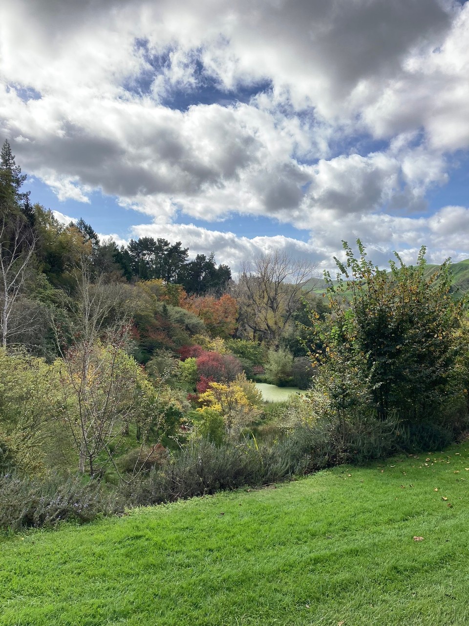 Neuseeland - Gisborne - 