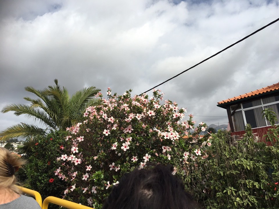 - Portugal, Funchal, Porto da Madeira - Aus
