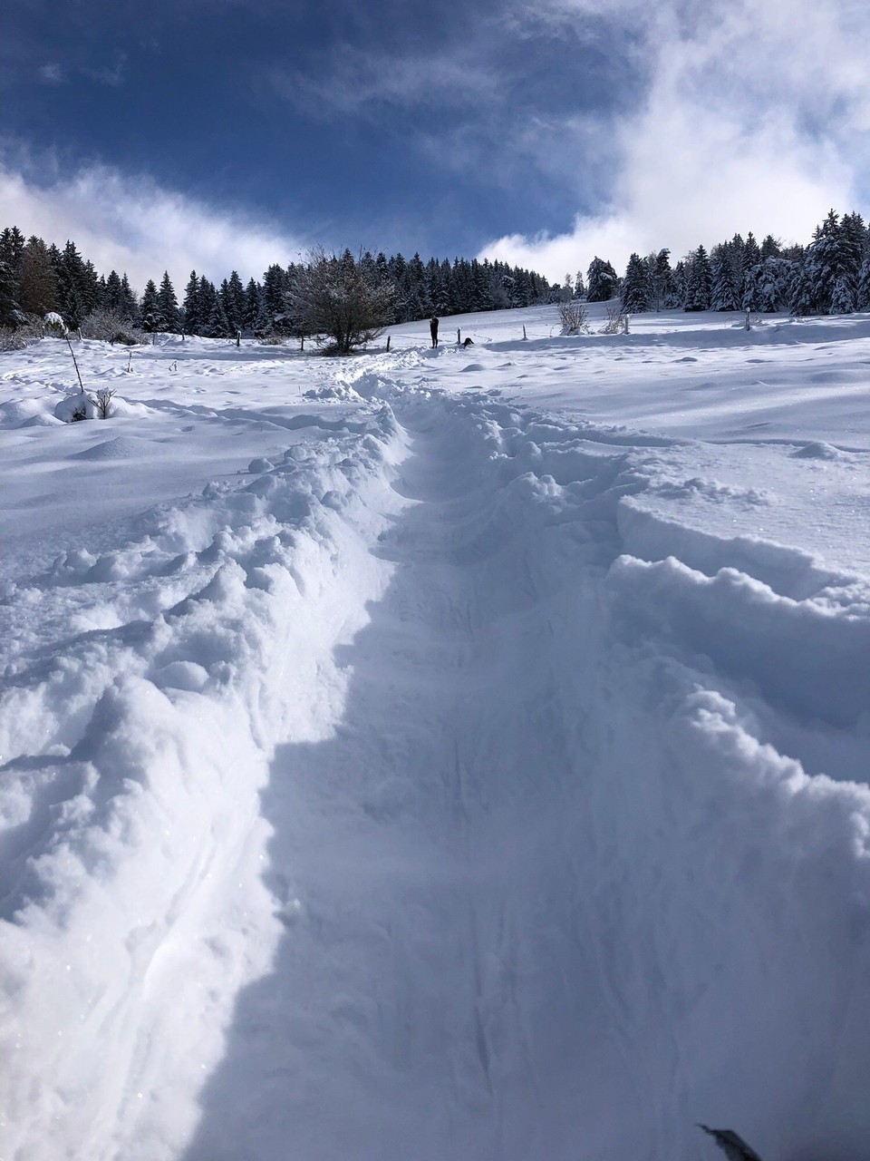 Frankreich - Villard de Lans - 